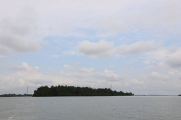 Cồn Hô – Where the Mekong Creates New Land