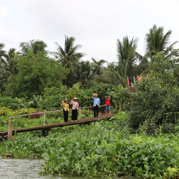 DAY TRIP - COCONUT MARKET & CỒN HÔ